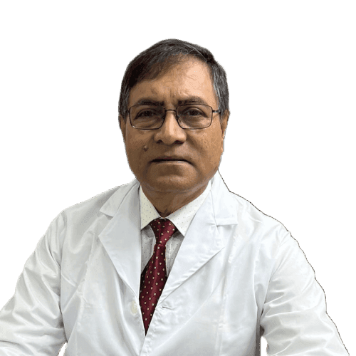 Prof. Dr. M A Hamid