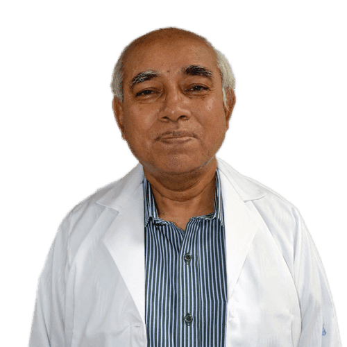 Prof. Dr. Mizanul Hasan